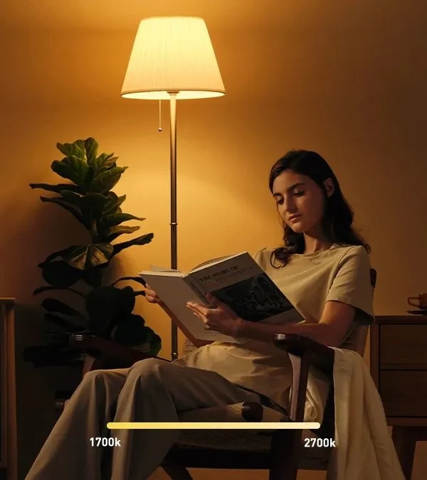Xiaomi Yeelight LED Smart Bulb W3