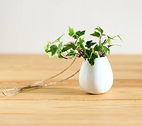 Mkono Hanging Flower Pot