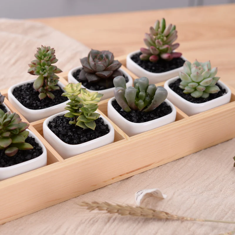 Zen Flower Pots