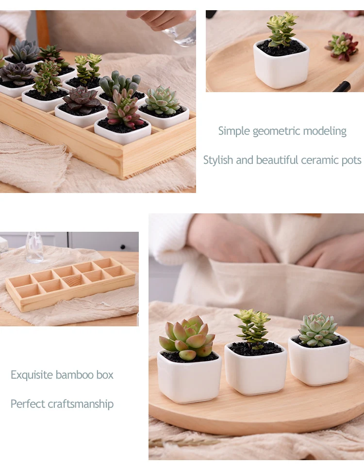 Zen Flower Pots