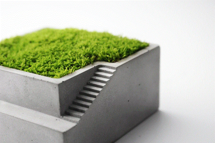 Designer Zhang Bonsai Pot