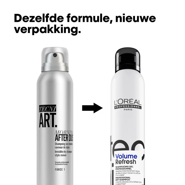 L'Oréal Porfessionnel Tecni.ART Volumen Trockenshampoo 200ml