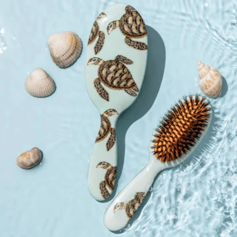 Rock & Ruddle Bürstenschildkröte