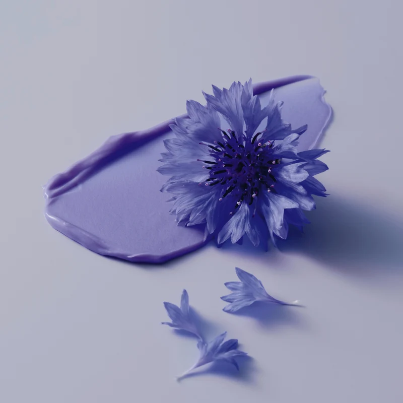 Schwarzkopf Professional BlondMe Bond Repair Purple Shampoo