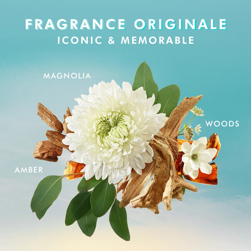 Moroccanoil Handcreme Parfüm Originale
