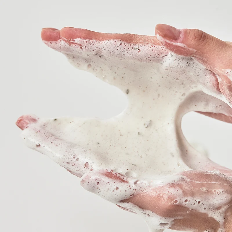 Heartleaf & Quercetinol Pore Cleansing Foam