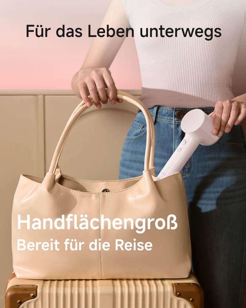 Laifen Air High-Speed Haartrockner